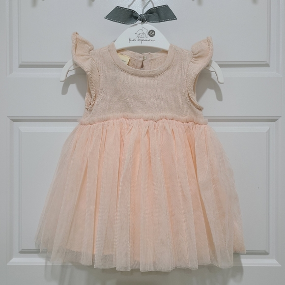 First Impressions Other - First Impressions Pink Baby Dress 3-6 M (NWOT)